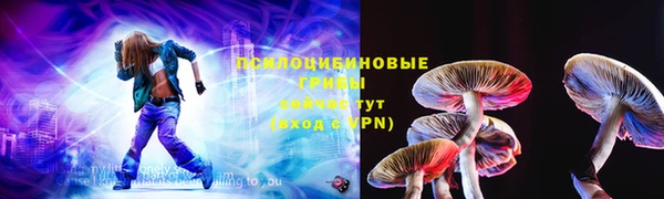 соль ск Краснотурьинск